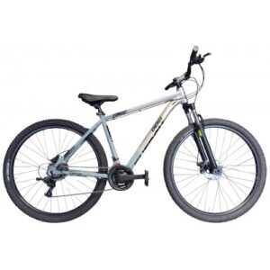 Energy Captus 29" 2026 - Metallic Silver "n" Grey Glossy Disc Brake